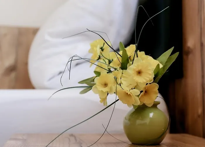 Metzgerei Drei Linden Hotel 3*