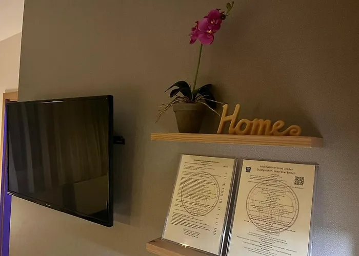 Hotel Metzgerei Drei Linden 3*